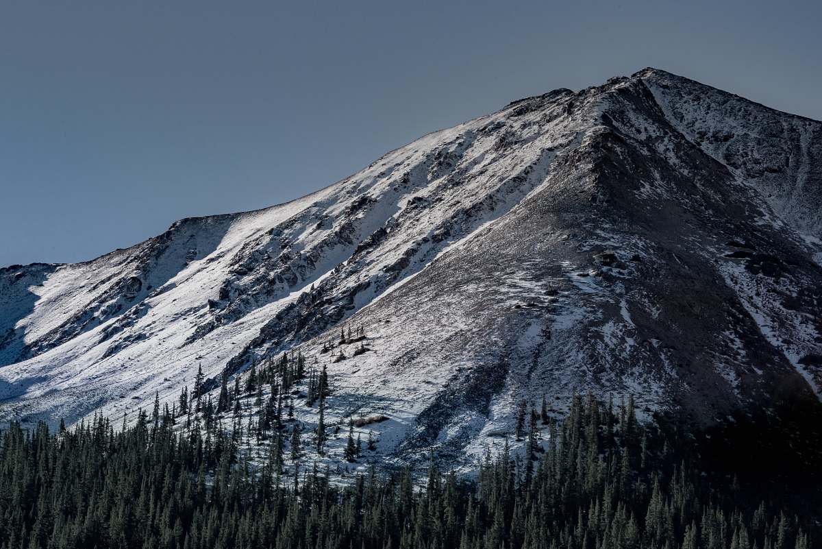 mountain range pine forest under snow covered mountain during daytime peak